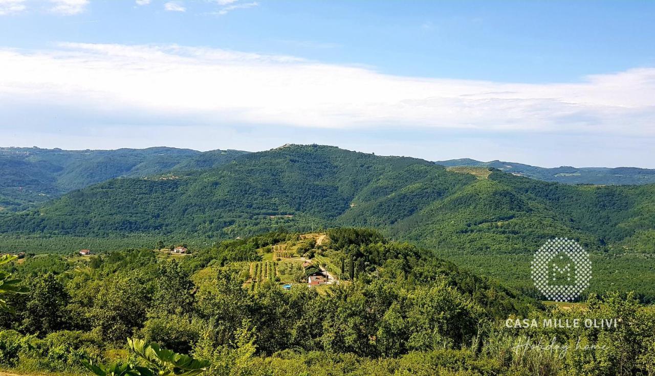 Casa Mille Olivi Villa Buzet Dış mekan fotoğraf