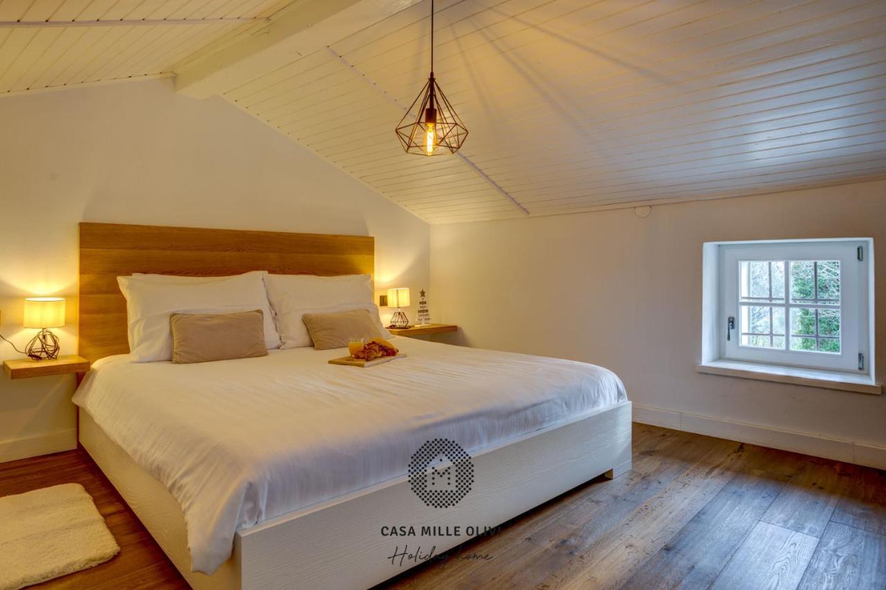 Casa Mille Olivi Villa Buzet Dış mekan fotoğraf