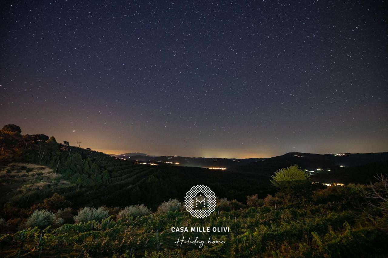 Casa Mille Olivi Villa Buzet Dış mekan fotoğraf