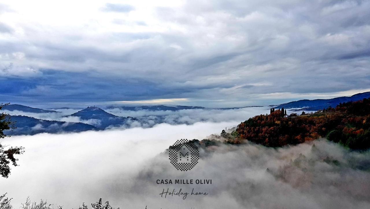 Casa Mille Olivi Villa Buzet Dış mekan fotoğraf
