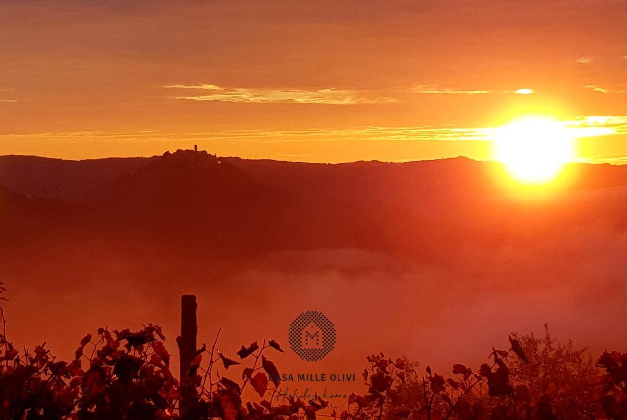 Casa Mille Olivi Villa Buzet Dış mekan fotoğraf