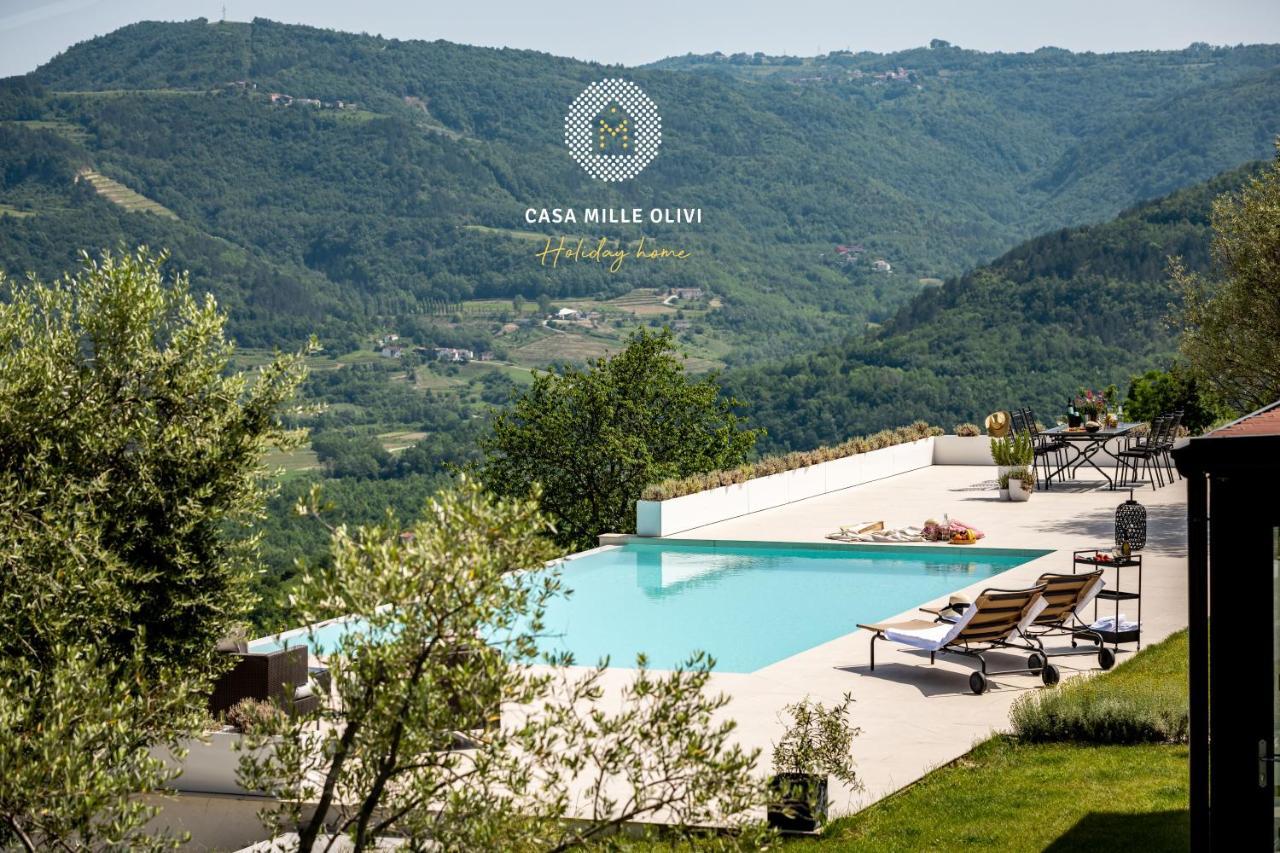 Casa Mille Olivi Villa Buzet Dış mekan fotoğraf