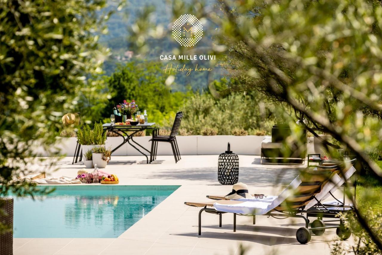 Casa Mille Olivi Villa Buzet Dış mekan fotoğraf