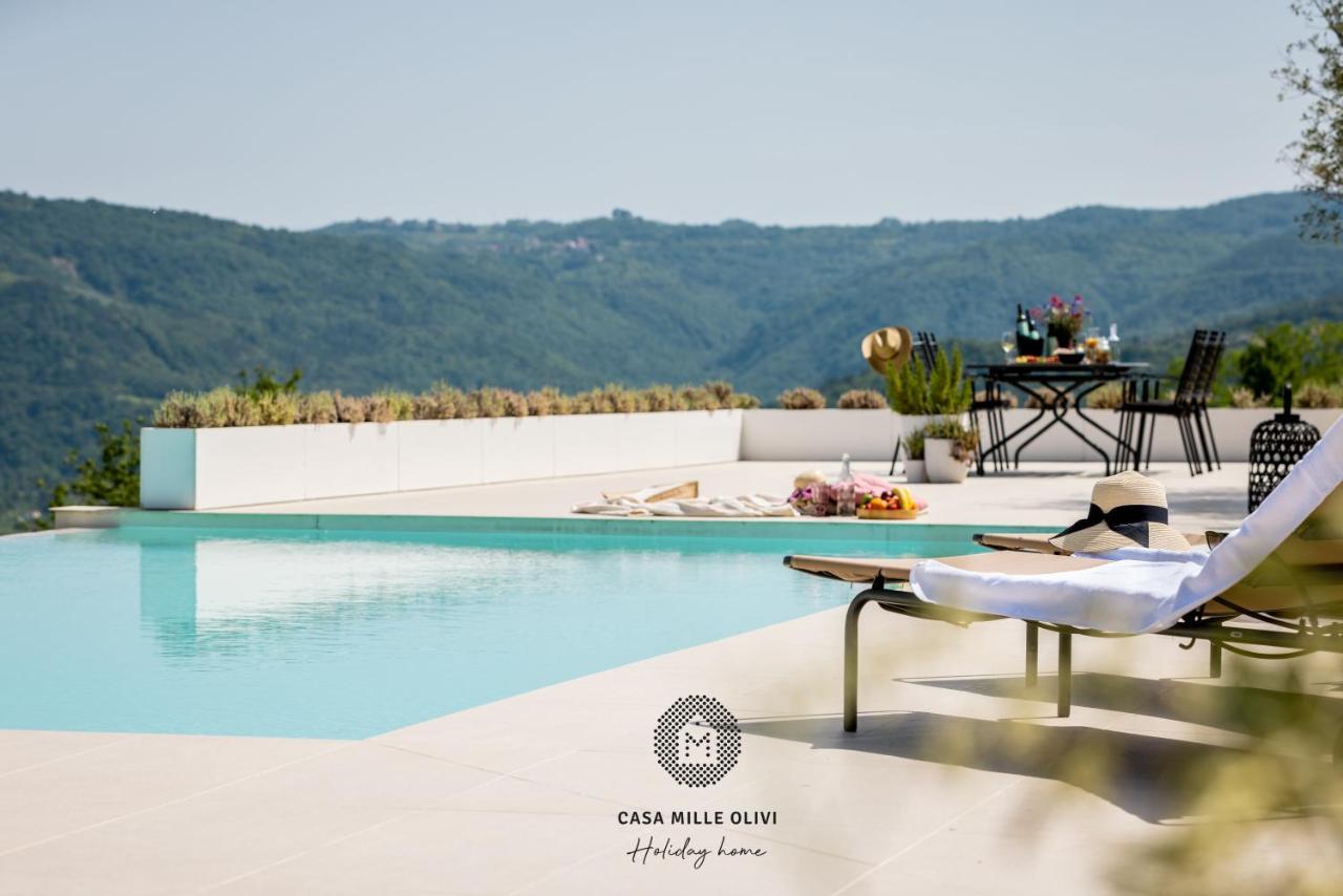 Casa Mille Olivi Villa Buzet Dış mekan fotoğraf